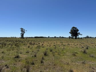 1539 Bland Road Quandialla NSW 2721 - Image 2