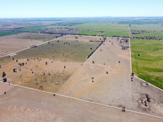 1539 Bland Road Quandialla NSW 2721 - Image 3