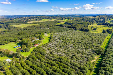 311 Friday Hut Road Brooklet NSW 2479 - Image 2