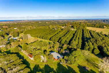 311 Friday Hut Road Brooklet NSW 2479 - Image 3
