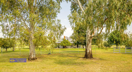 "Mountview" 151 Deeks Werris Creek NSW 2341 - Image 2