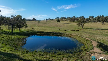 Abington NSW 2350 - Image 2