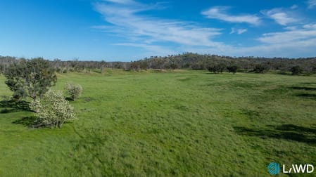 Abington NSW 2350 - Image 3