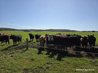 60 Skippings Road Kordabup WA 6333 - Image 1