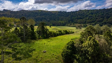 77 Wells Road Maleny QLD 4552 - Image 3
