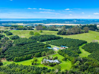 271 Alcorn Road Knockrow NSW 2479 - Image 3