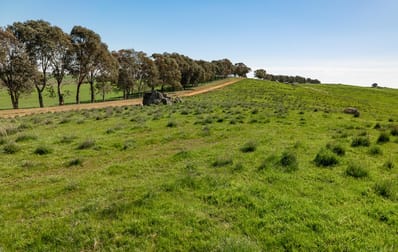 246 Wantabadgery Road Wantabadgery NSW 2650 - Image 3