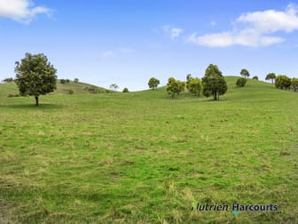 3918 Whittlesea-Yea Road Flowerdale VIC 3717 - Image 2