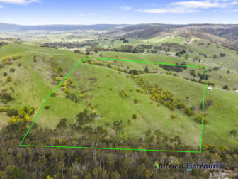 3918 Whittlesea-Yea Road Flowerdale VIC 3717 - Image 3