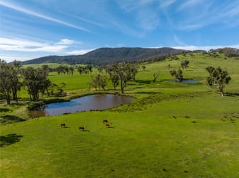 589 Tooma Road Burra NSW 2653 - Image 2