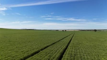 'Pinefield' 186 Catford Rd Appila SA 5480 - Image 1