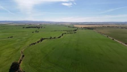 'Pinefield' 186 Catford Rd Appila SA 5480 - Image 2