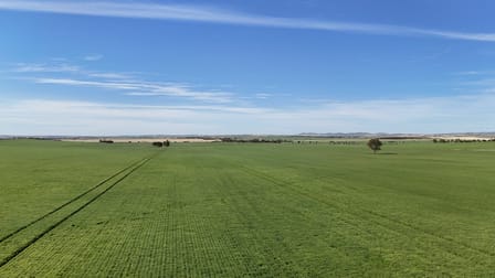 'Pinefield' 186 Catford Rd Appila SA 5480 - Image 3
