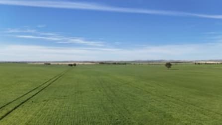 'Pinefield' 186 Catford Rd Appila SA 5480 - Image 3