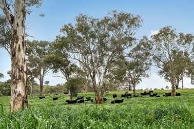 5902 Mitchell Highway Molong NSW 2866 - Image 1