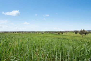 5902 Mitchell Highway Molong NSW 2866 - Image 2
