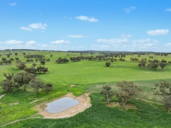 Three Rivers Road Molong NSW 2866 - Image 2