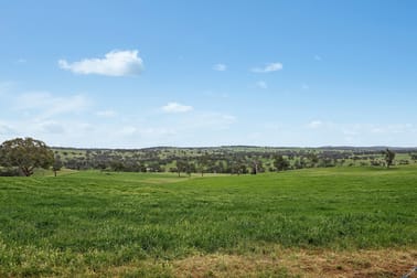 5902 Mitchell Highway Molong NSW 2866 - Image 3
