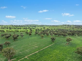 Three Rivers Road Molong NSW 2866 - Image 3