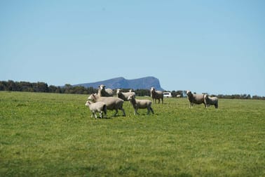 3078 Victoria Point Road Moutajup VIC 3294 - Image 1