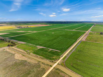 165 Guilmartin Road Capels Crossing VIC 3579 - Image 3