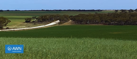 Caliph SA 5310 - Image 1