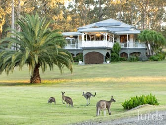 64 Tuckers Lane North Rothbury NSW 2335 - Image 1