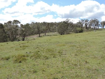 1434 Jerrong Road Wiarborough NSW 2580 - Image 3