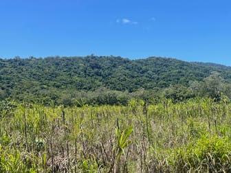 12 Pine Creek - Yarrabah Road East Trinity QLD 4871 - Image 3