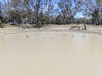 1359 Saddleback Road Forbes NSW 2871 - Image 1
