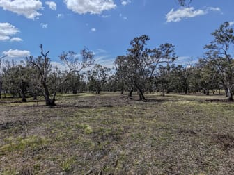 1359 Saddleback Road Forbes NSW 2871 - Image 3