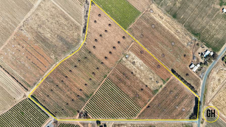 251 Ridge Road Tresco VIC 3583 - Image 2