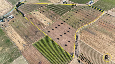 251 Ridge Road Tresco VIC 3583 - Image 3