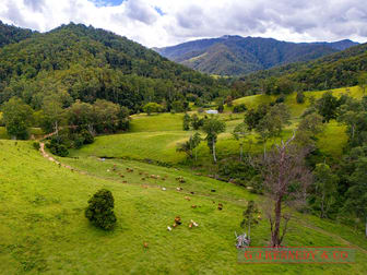 Lot 104/123 Thumb Creek Rd Thumb Creek NSW 2447 - Image 1