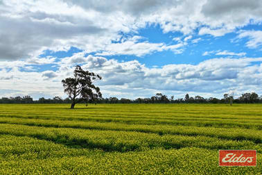Lot 2 Old Barmah Road Moama NSW 2731 - Image 2