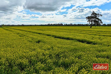 Lot 2 Old Barmah Road Moama NSW 2731 - Image 3