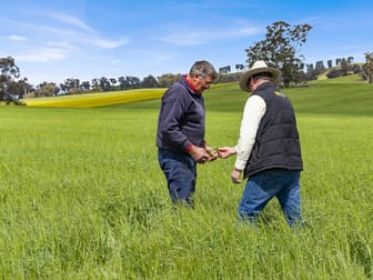 2056 Benalla-Yarrawona Road Bungeet West VIC 3726 - Image 3