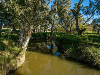Click to view all images 750 Westby Road Pulletop NSW 2650 - Image 2