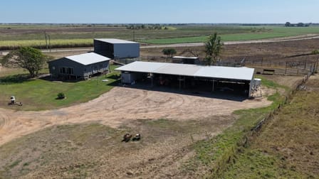 162 Becker Road Brandon QLD 4808 - Image 3