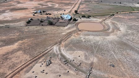 Click to view all images 1169 Jerilderie Road Hay South NSW 2711 - Image 2