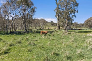 Click to view all images "Four Points Farm" Berrebangelo Road Yass River NSW 2582 - Image 3