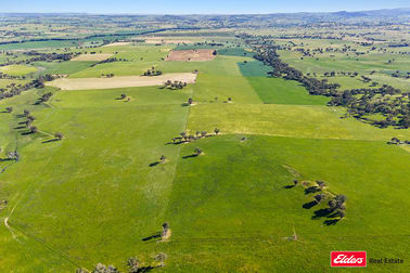 Click to view all images 3809 Belubula Way Canowindra NSW 2804 - Image 3