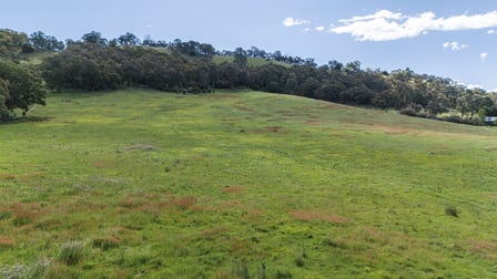 Click to view all images Lot 1/180 Buffalo Creek Road Myrtleford VIC 3737 - Image 3