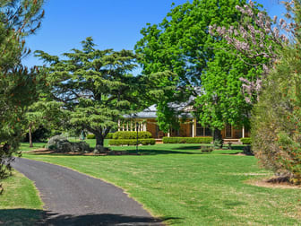 3809 Belubula Way Canowindra NSW 2804 - Image 3