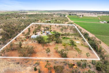 340 Carbone Road Leeton NSW 2705 - Image 2