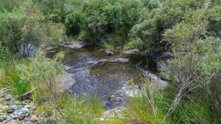 Click to view all images 1325 Connolly Dam Road Silverwood QLD 4370 - Image 2