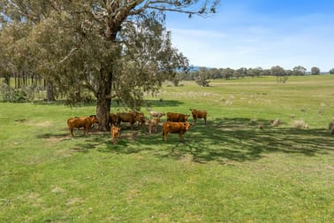 Click to view all images 46 Lemins Road Merton VIC 3715 - Image 3