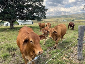 Click to view all images 52 Milford Middle Road Milford QLD 4310 - Image 3