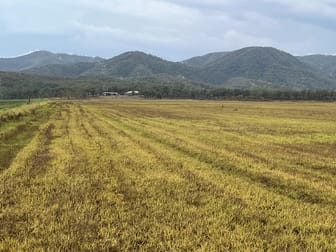 1/ Oakenden Sarina Oakenden QLD 4741 - Image 3