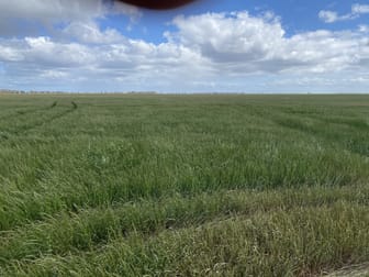 Three Chain Road Birchip VIC 3483 - Image 3